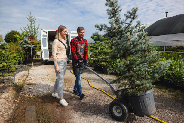 Best Root Management and Removal  in Enterprise, OR